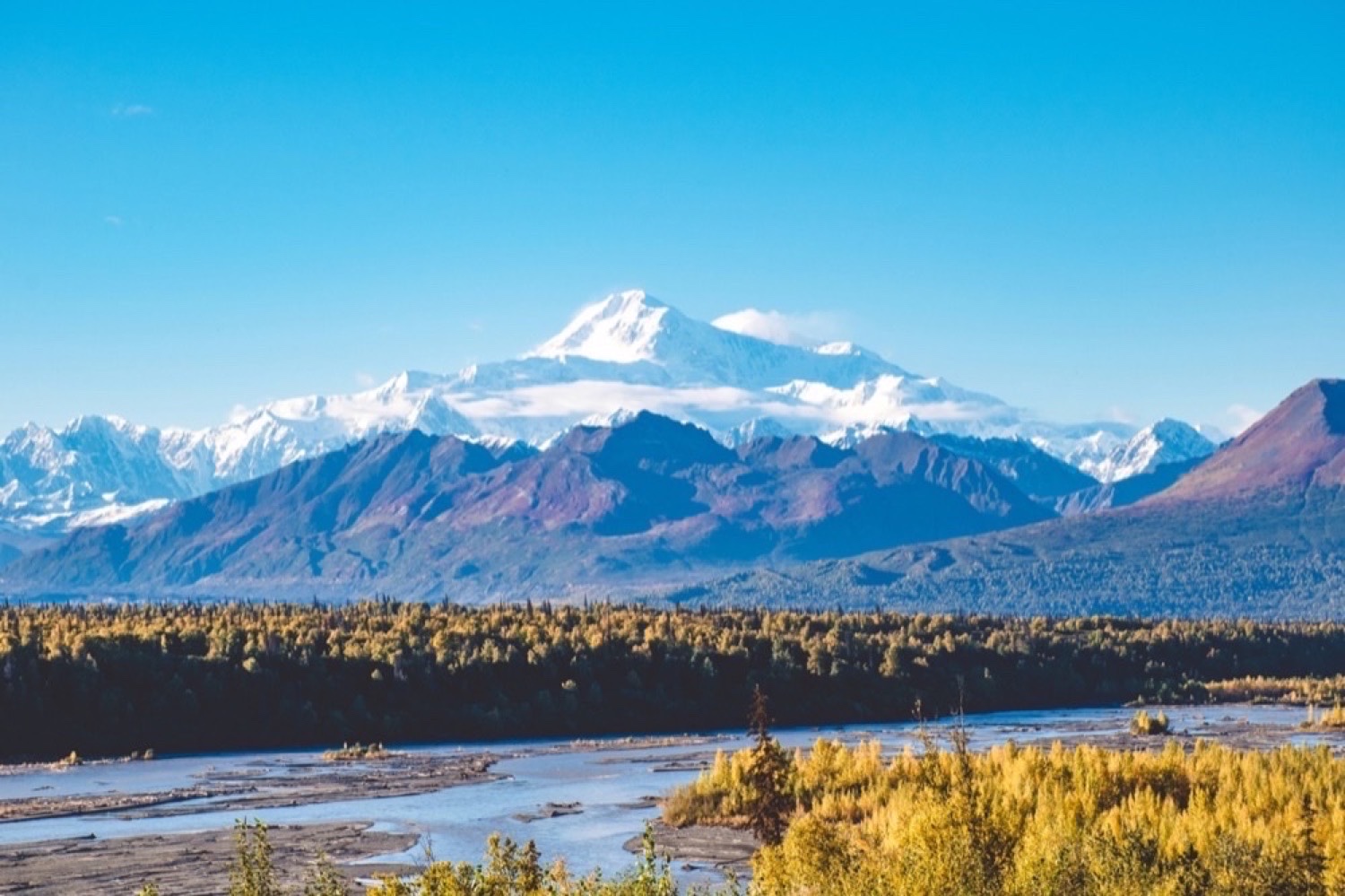 Denali National Park