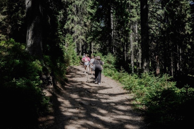 Hiking & Trail Systems